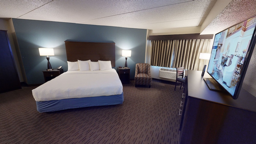 Premier Suite, 1 King Bed, Non Smoking (One-Bedroom Suite) - Photo 9