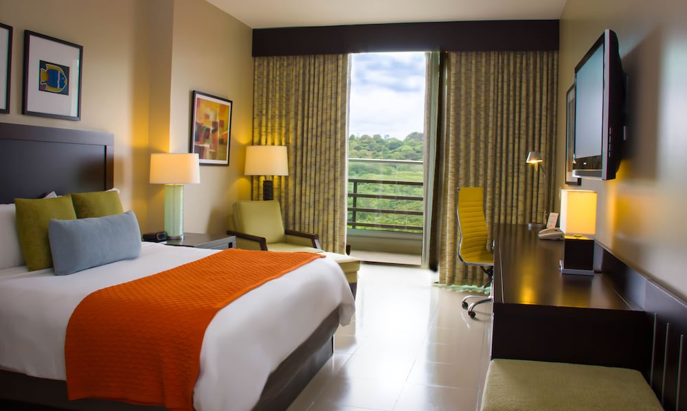 Deluxe King Room - Photo 14