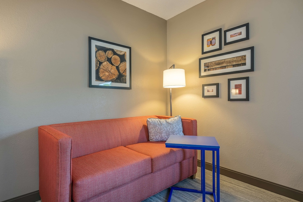 Studio, 1 King Bed, Accessible (Mobility & Hearing, Roll-in Shower) - Photo 3