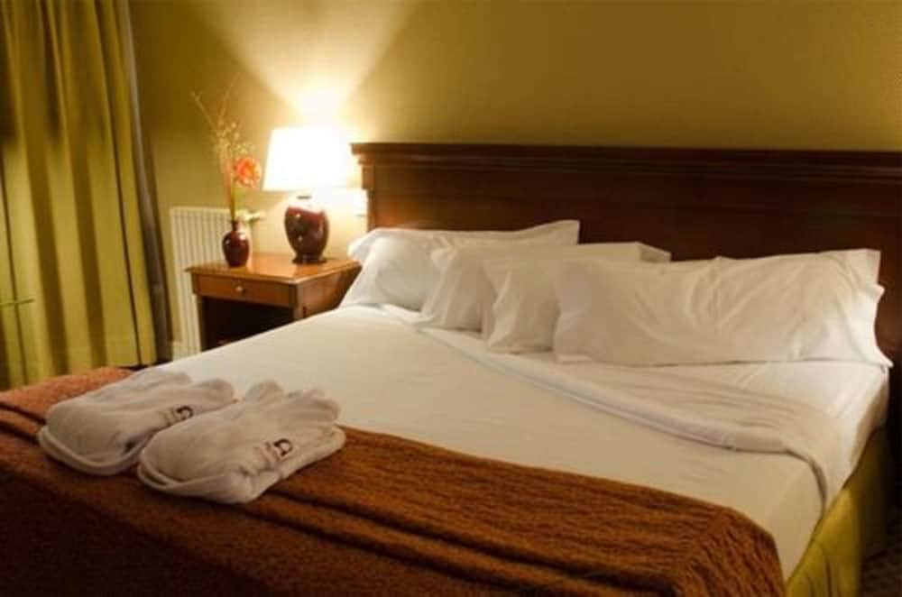 Executive Double Room, 1 Queen Bed (Plaza Q) photo 1