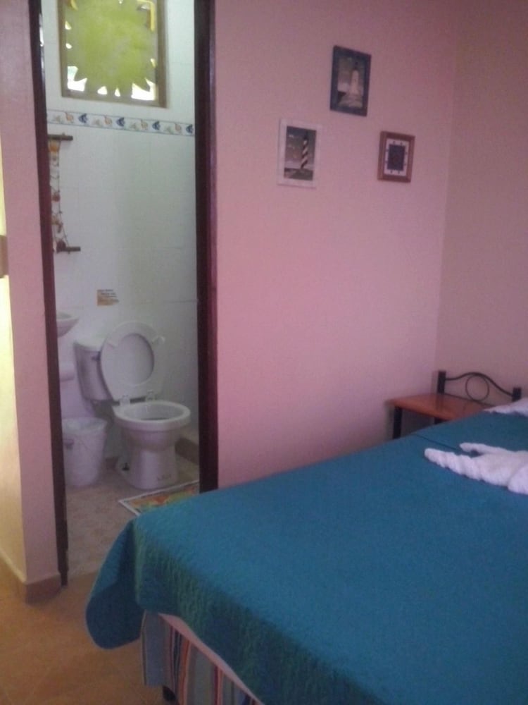Basic Room, Ocean View photo 2