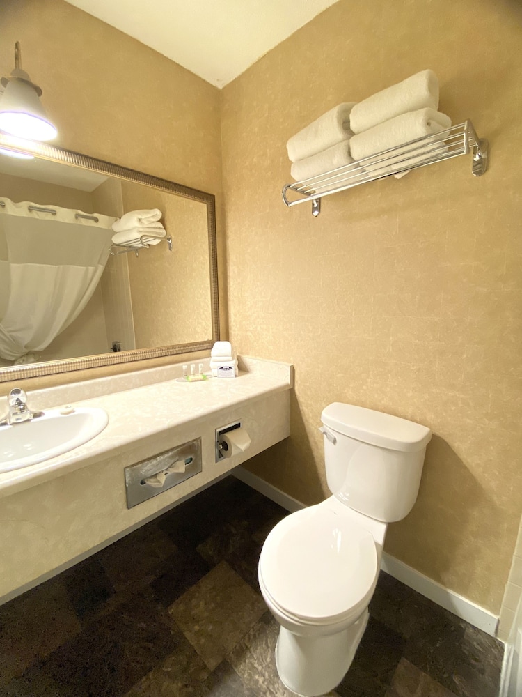 Standard Single Room photo 3