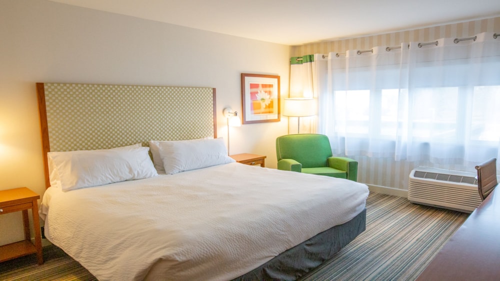 Suite, 1 King Bed, Accessible Bathtub (Mobility) - Photo 2