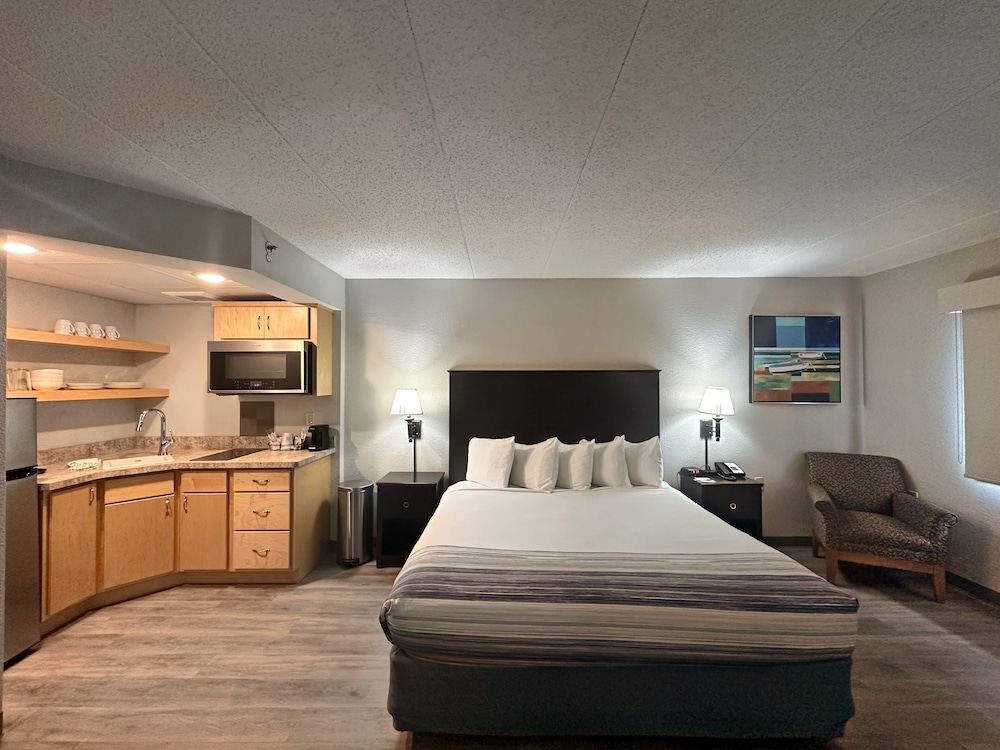 Room, 1 King Bed, Non Smoking (Efficiency)