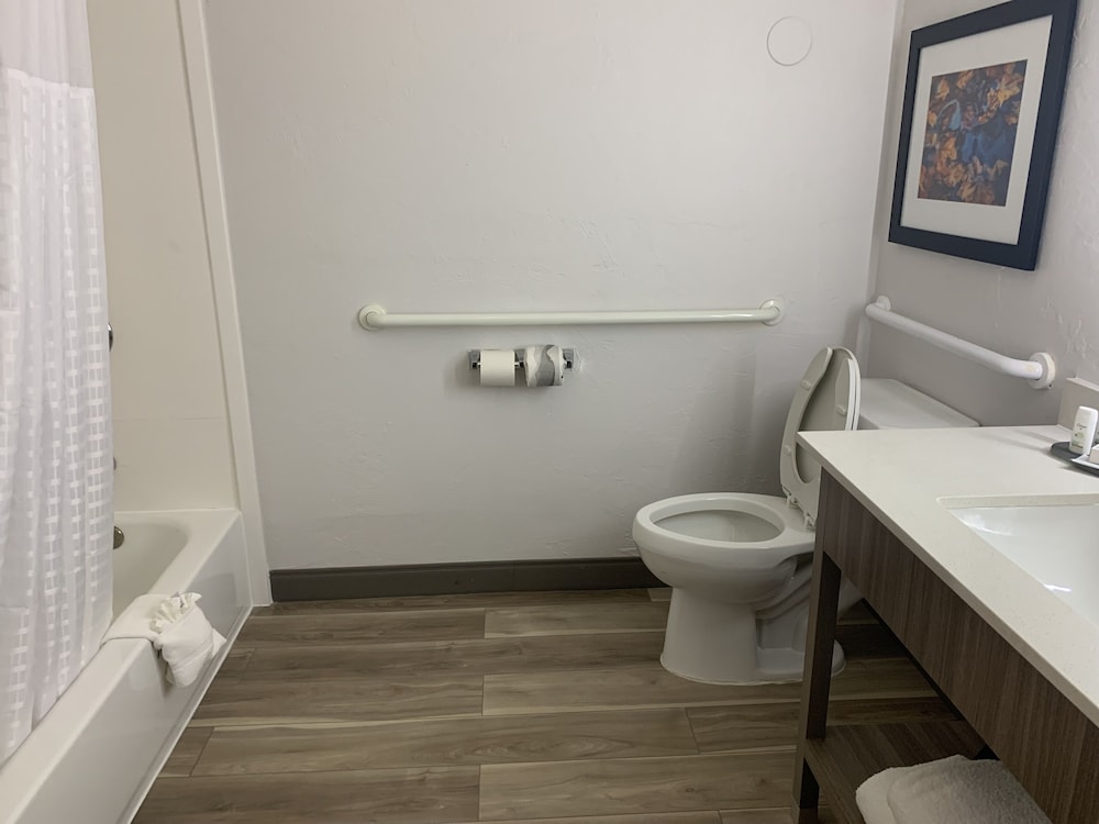 Deluxe Suite, 1 King Bed, Non Smoking - Photo 3