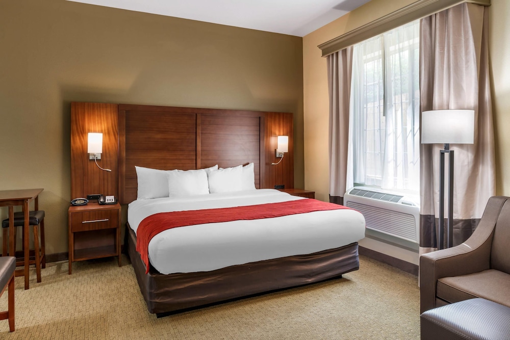 Suite, 1 King Bed, Non Smoking photo 2