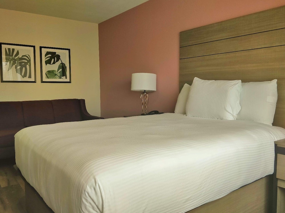 Suite, 1 Queen Bed with Sofa bed