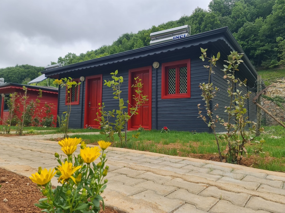 Deluxe Bungalow photo 2