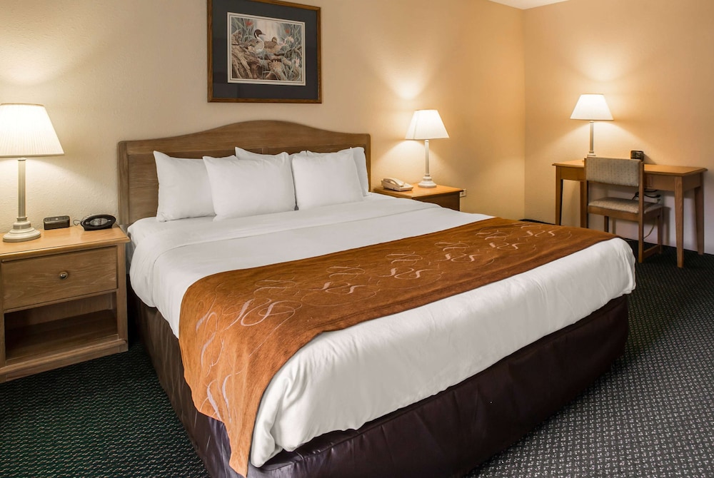 Deluxe Room, 1 King Bed, Non Smoking, Jetted Tub - Photo 1