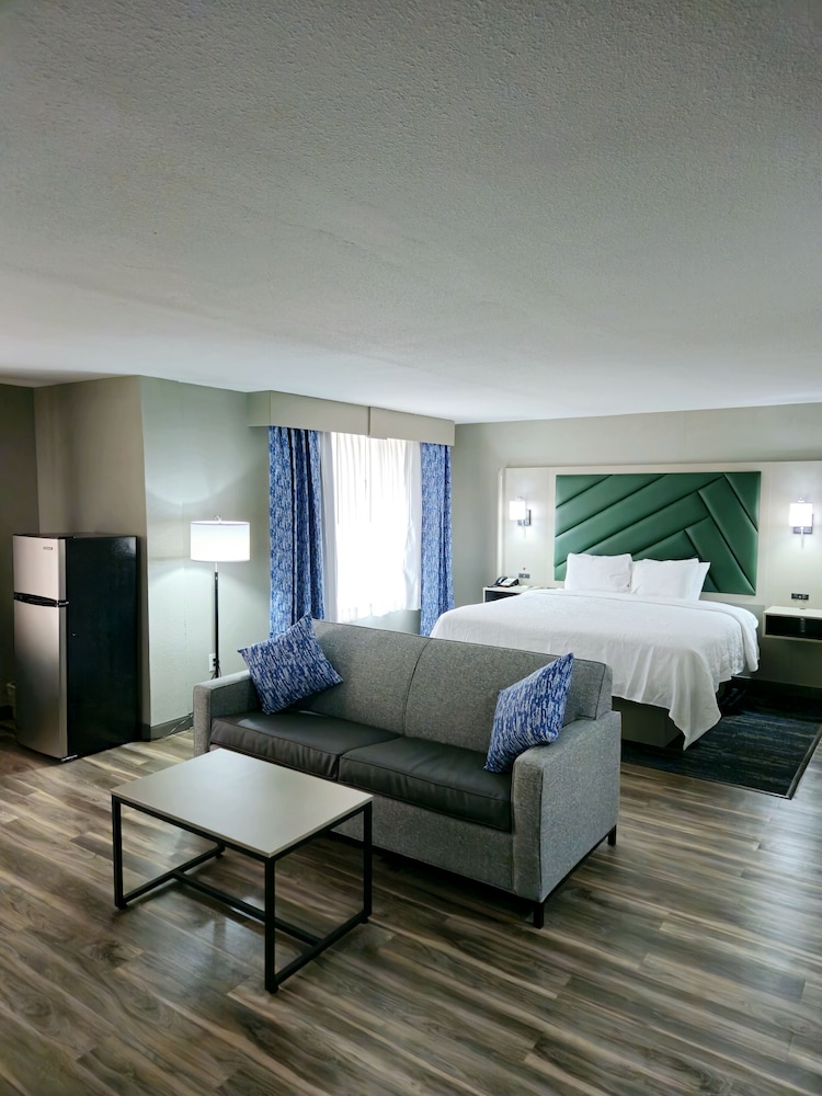 Studio Suite, 1 King Bed - Photo 2