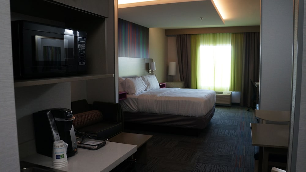 Suite, 1 King Bed with Sofa bed