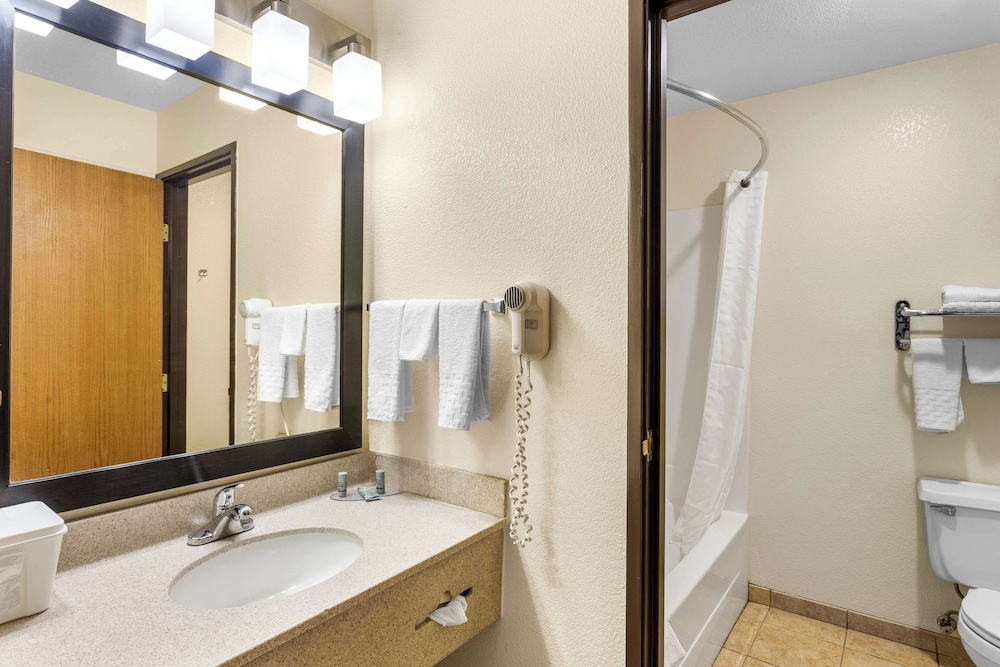 Standard Room, 1 King Bed, Non Smoking, Refrigerator & Microwave (Larger Room) - Photo 4