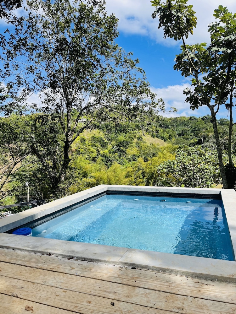 Exclusive Cabin, 1 Queen Bed, Non Smoking, Mountain View photo 3