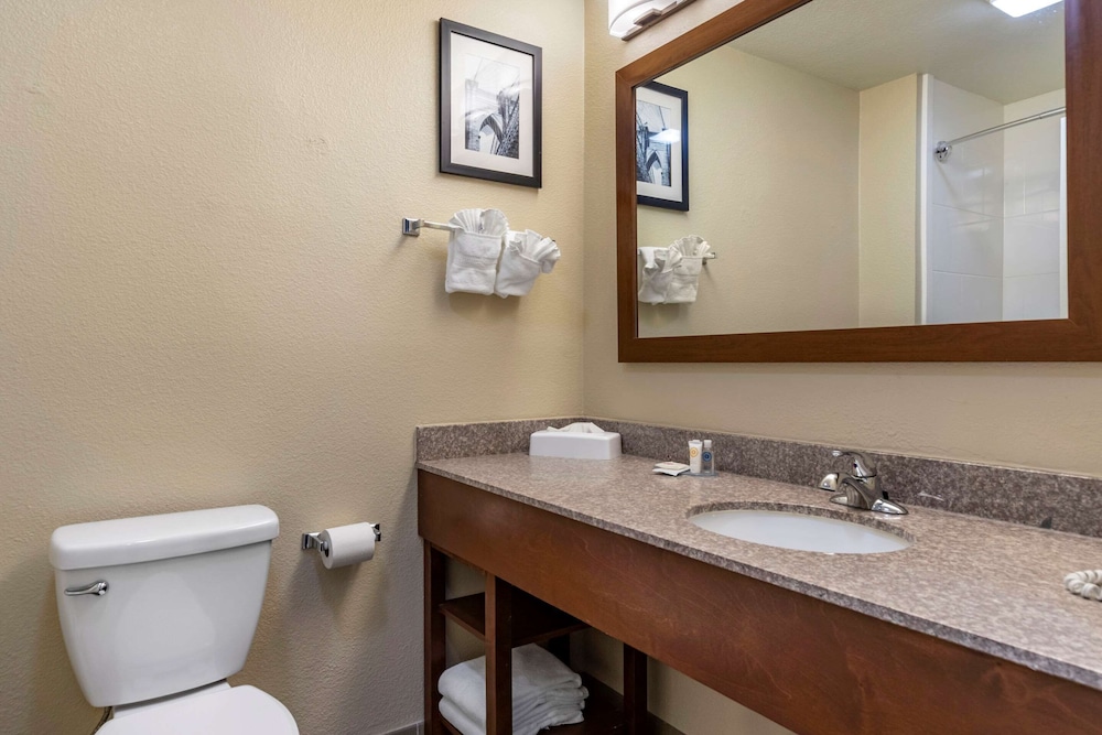 Room, 1 King Bed, Non Smoking (Efficiency, Pet Friendly) - Photo 4