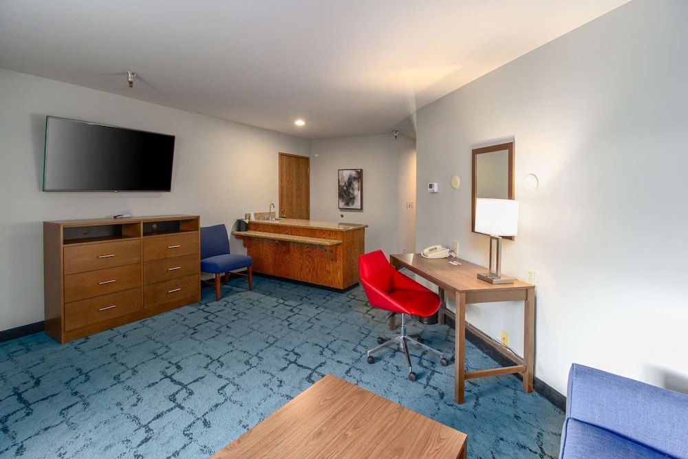 Suite, 1 King Bed photo 3