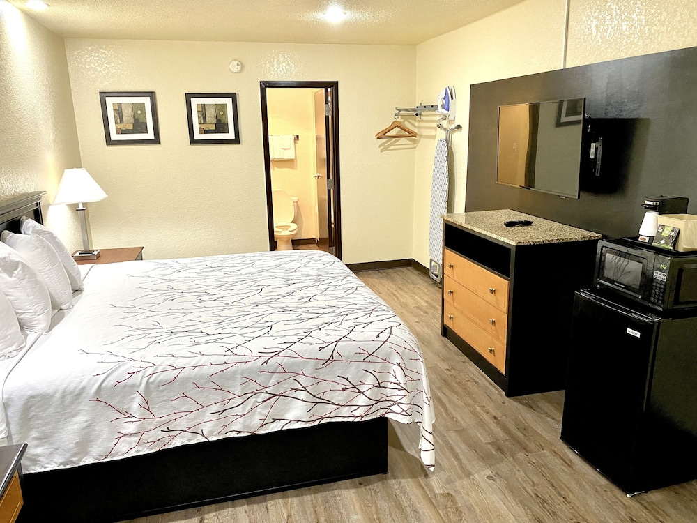 Standard Room, 1 King Bed, Smoking - Photo 5