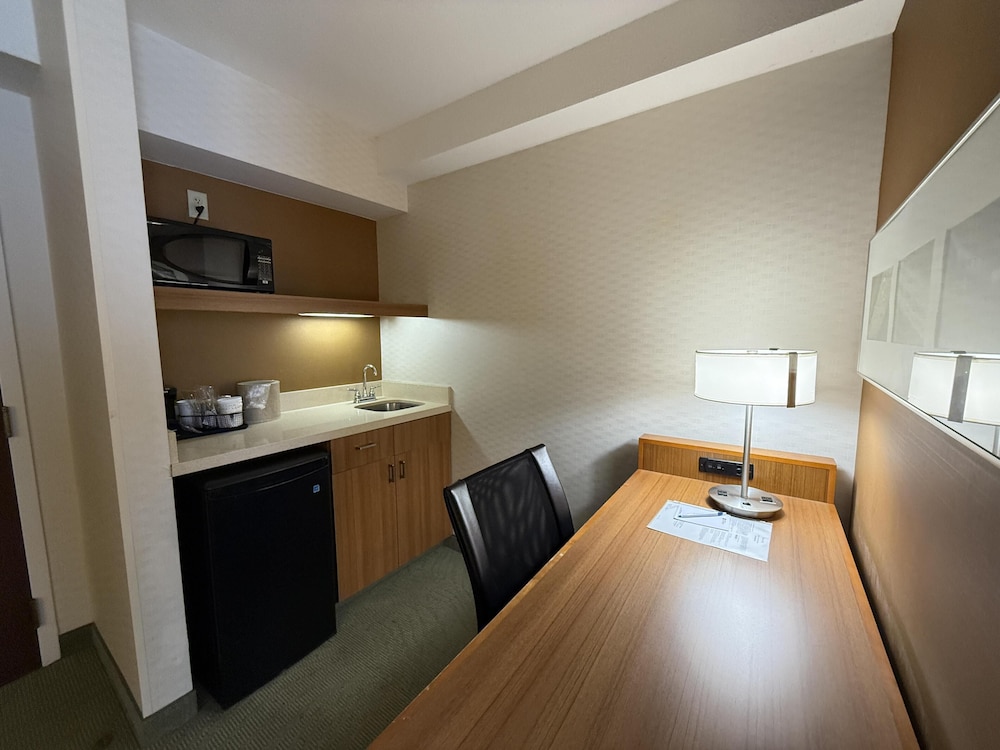 Standard Room, 1 King Bed, Accessible, Refrigerator & Microwave (with Sofabed) - Photo 4