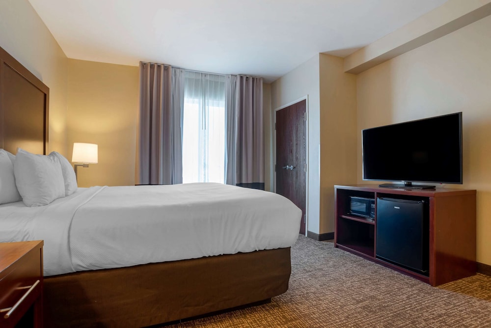 Suite, 1 King Bed, Non Smoking photo 2