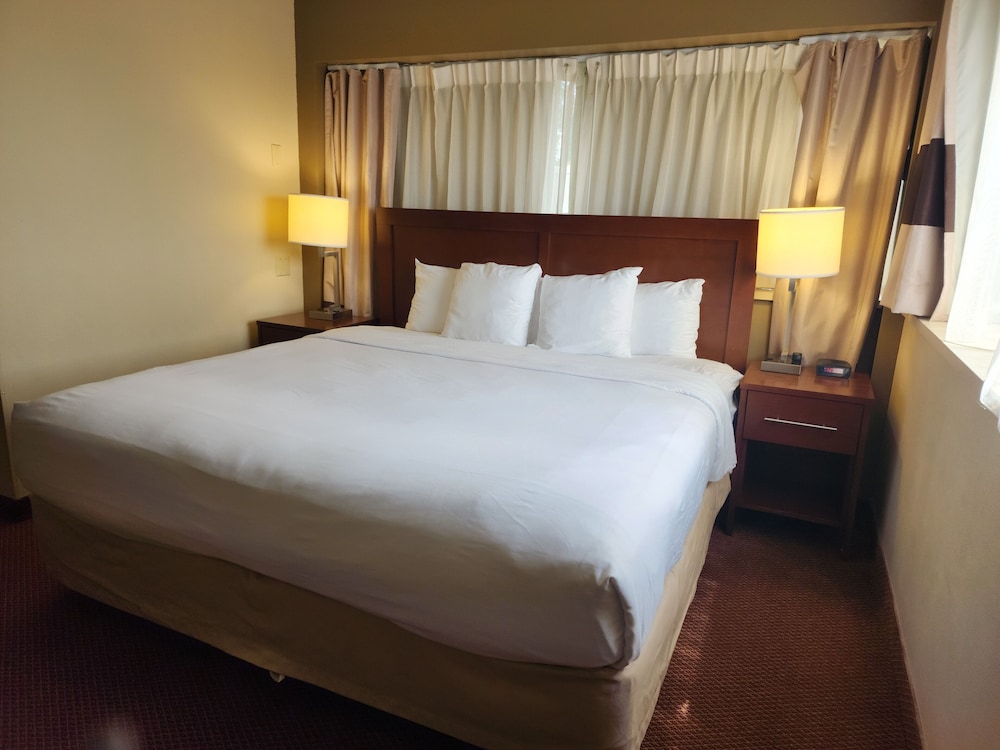 Standard Room, 1 King Bed, Non Smoking - Photo 6