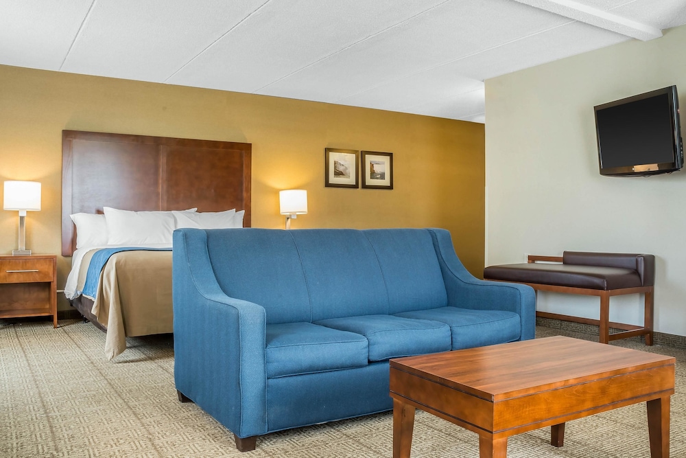 Suite, 1 King Bed with Sofa bed, Accessible, Non Smoking (Upgrade) photo 1
