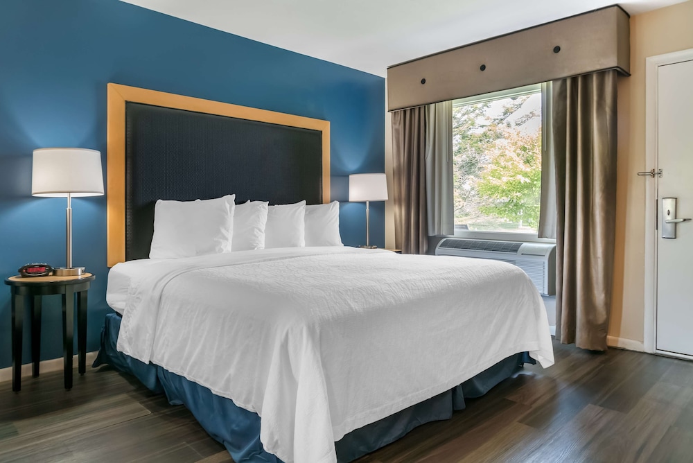 Standard Room, 1 King Bed, Non Smoking, Refrigerator (Interior room access) photo 1