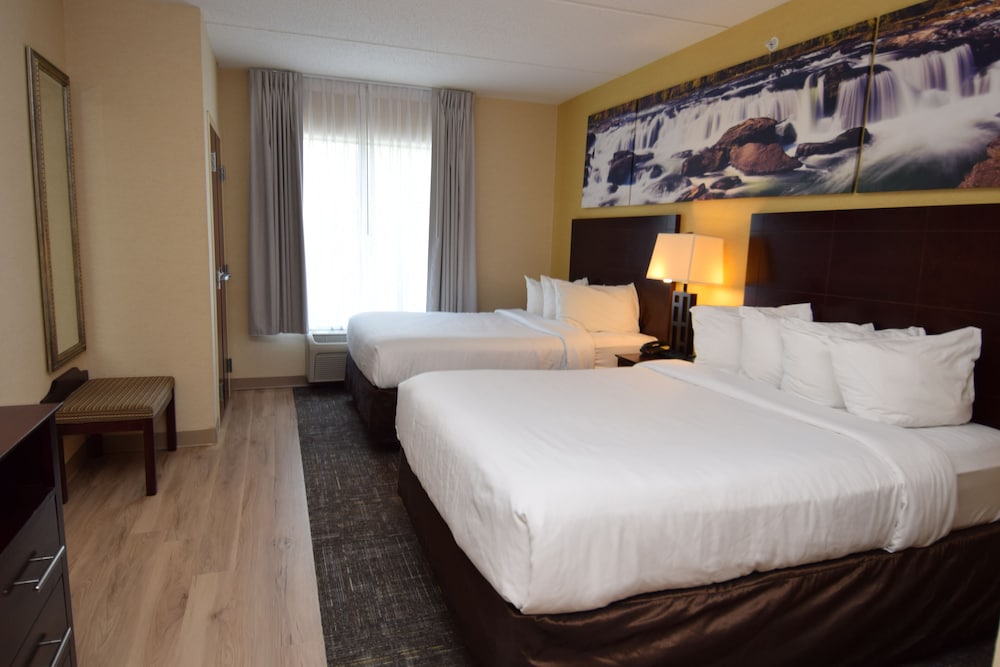 Executive Suite, Multiple Beds, Refrigerator & Microwave - Photo 1
