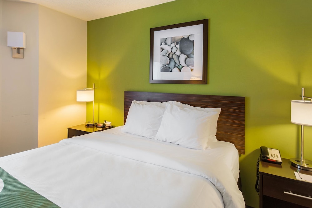 Room, 1 Queen Bed, Accessible, Non Smoking - Photo 4