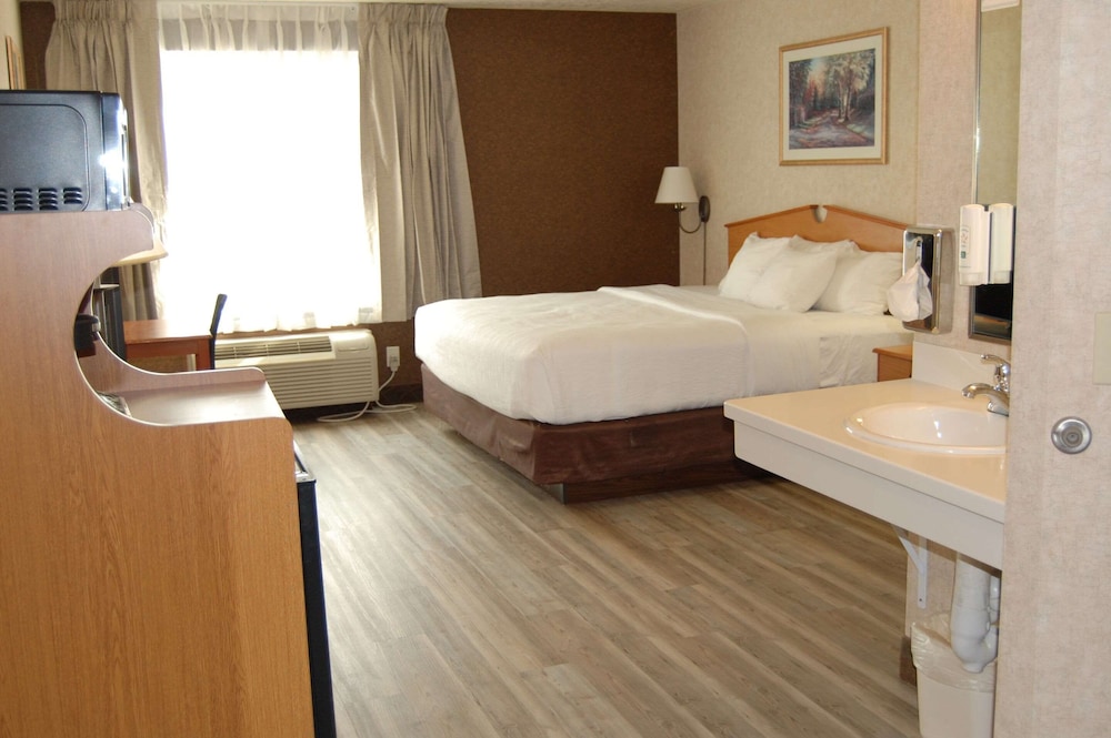 Room, 1 King Bed, Accessible, Non Smoking photo 1