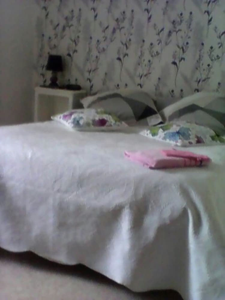 Deluxe Double Room, 1 Double Bed photo 1