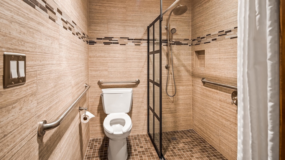 Standard Room, 1 Queen Bed, Accessible, Non Smoking (Roll-In Shower)