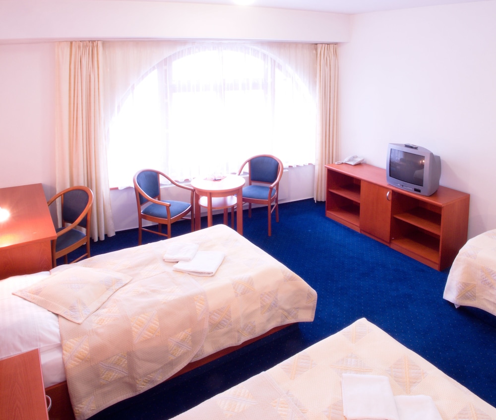 Superior Triple Room, City View photo 3