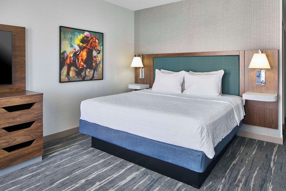 Room, 1 King Bed, Refrigerator