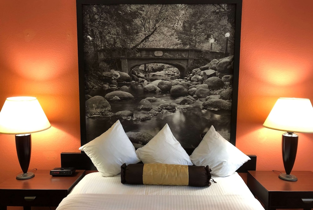 Room, 1 Queen Bed, Non Smoking photo 3