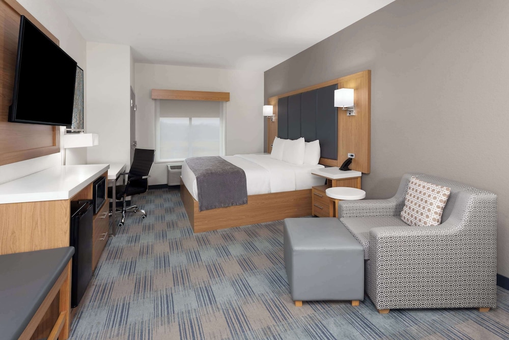 Room, 1 King Bed, Bathtub Grab Bars (Mobility Accessible) - Photo 1
