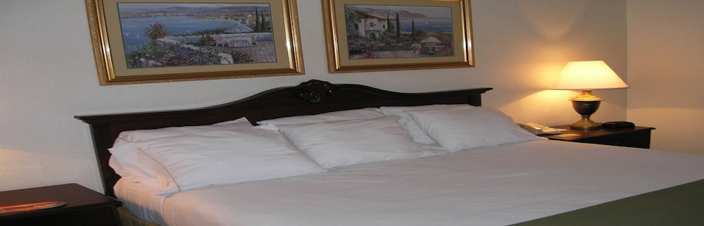 Basic Room, 1 King Bed photo 1