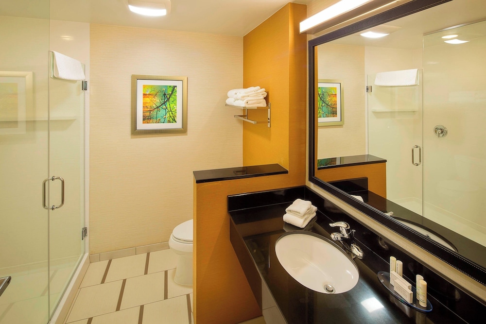 Executive Suite, 1 King Bed with Sofa bed, photo 6