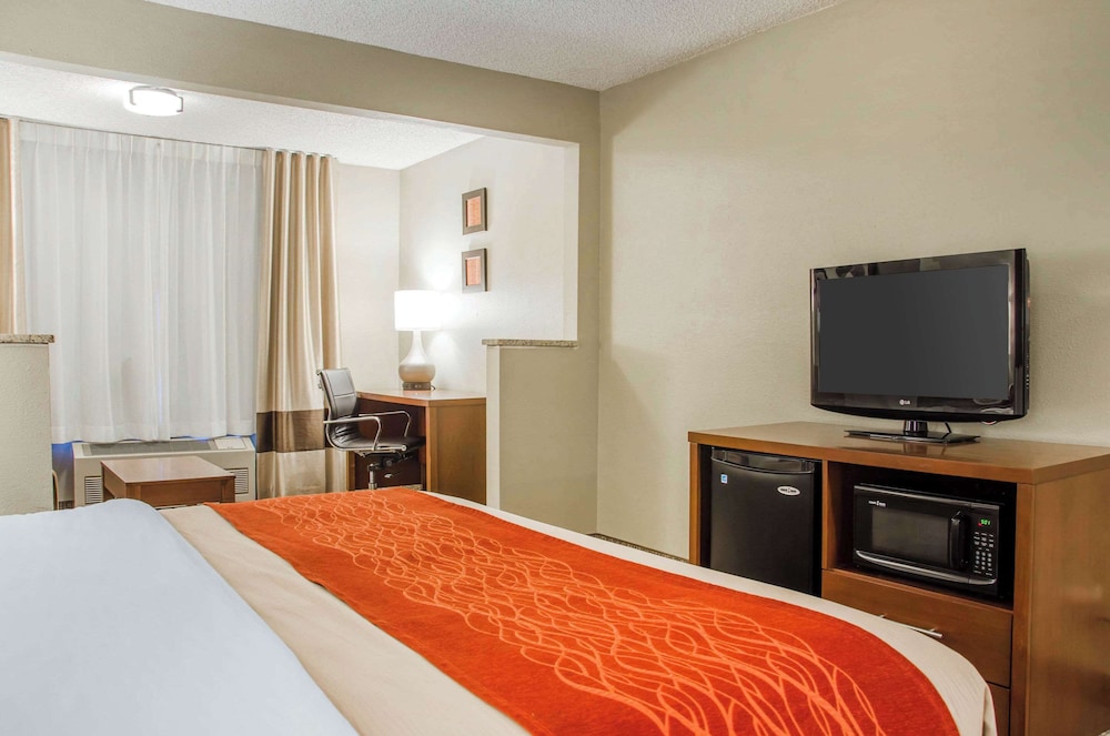 Room, 1 King Bed, Non Smoking - Photo 4