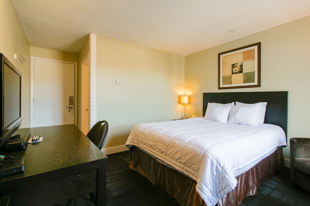 Room, 1 Queen Bed - Photo 3