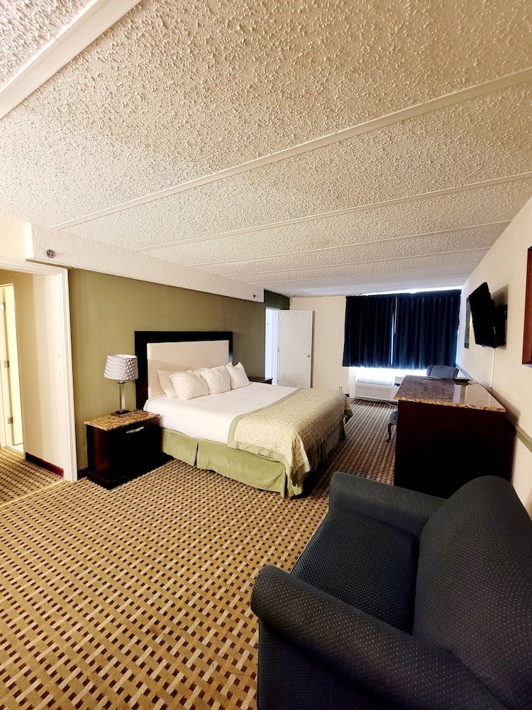 Suite, 1 King Bed photo 2