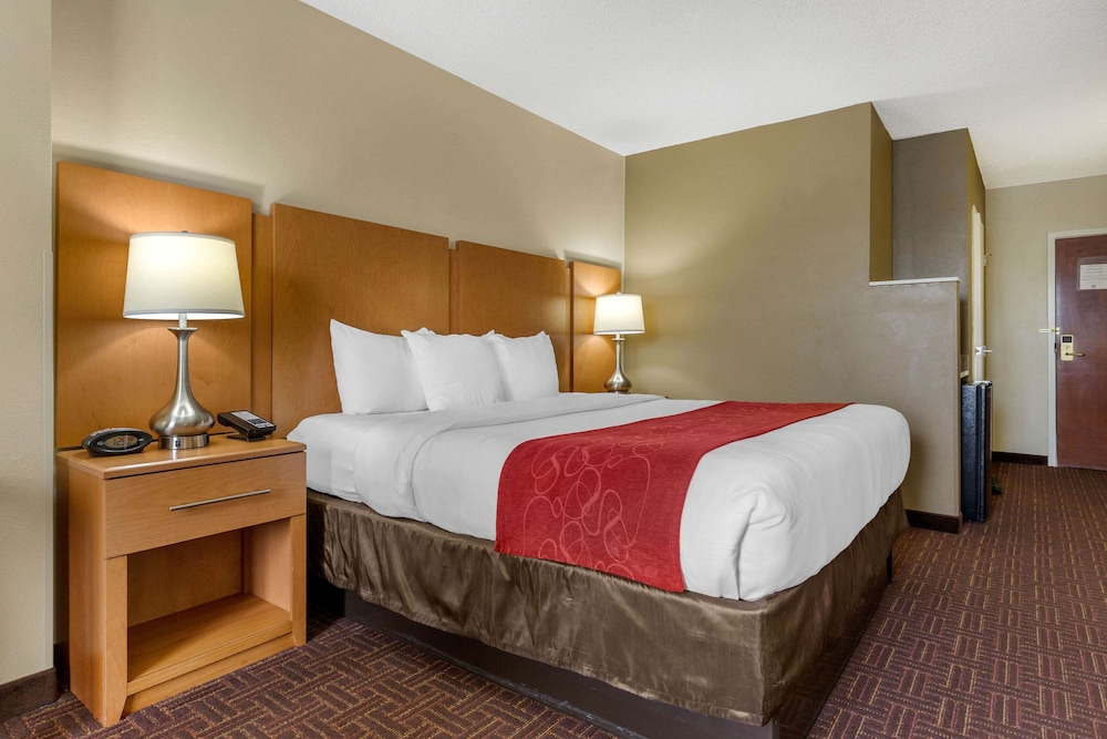 Standard Room, 1 King Bed with Sofa bed, Non Smoking photo 3