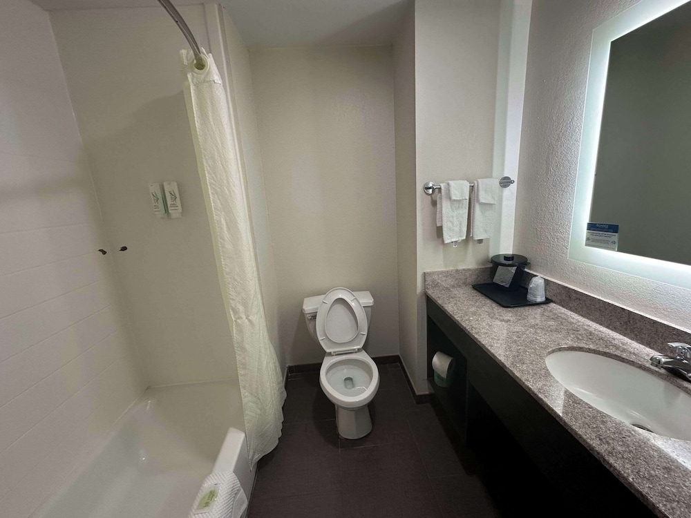 Standard Room, 1 King Bed, Non Smoking - Photo 7