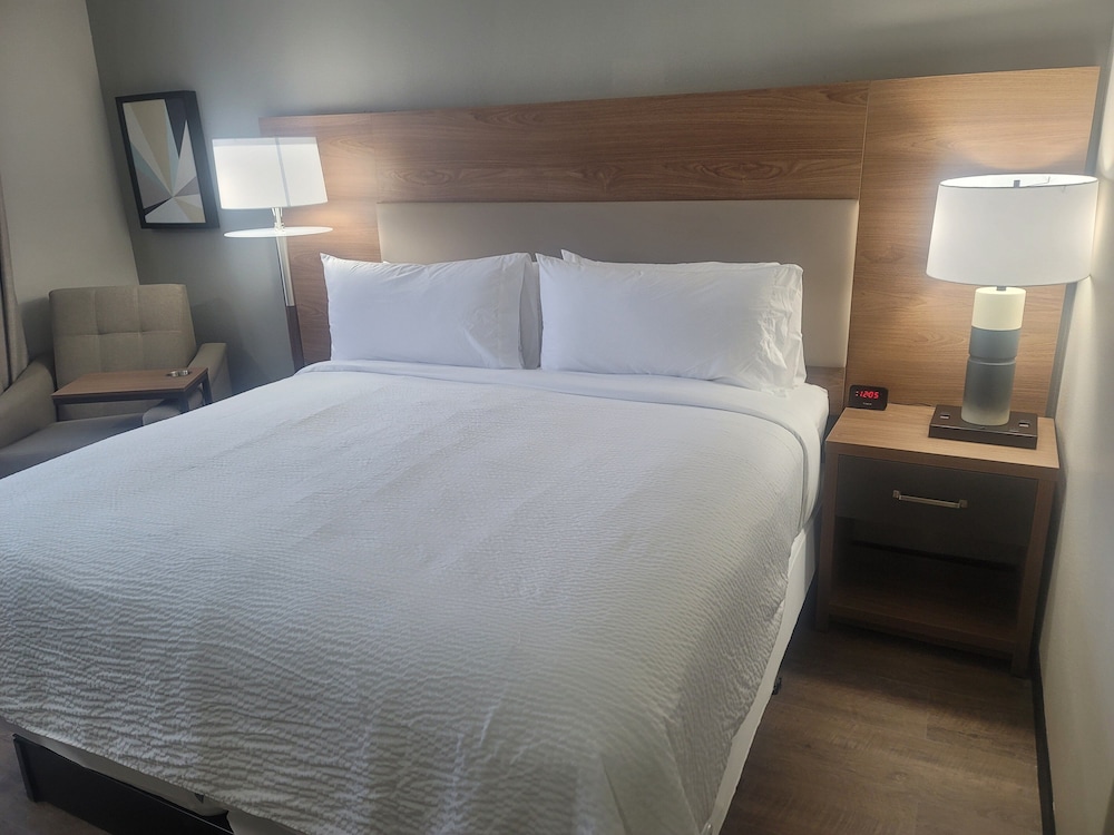 Studio Suite, 1 King Bed with Sofa bed - Photo 18