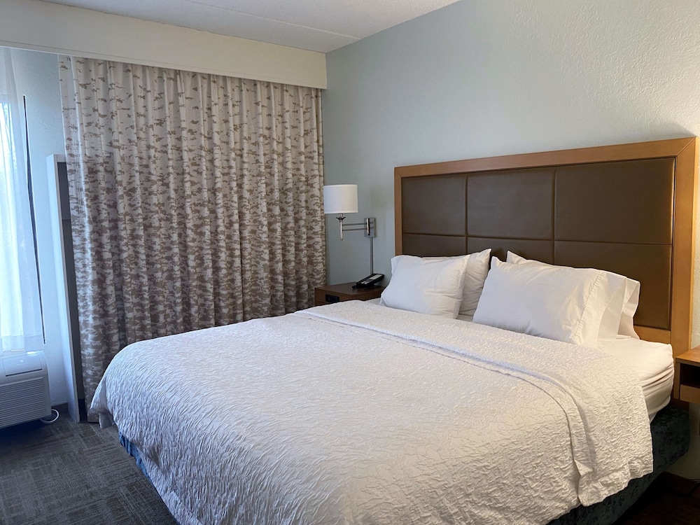Suite, 1 King Bed photo 1