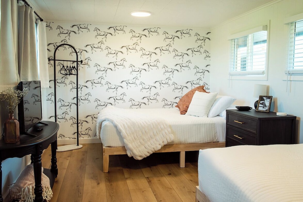Studio Suite, Multiple Beds photo 1