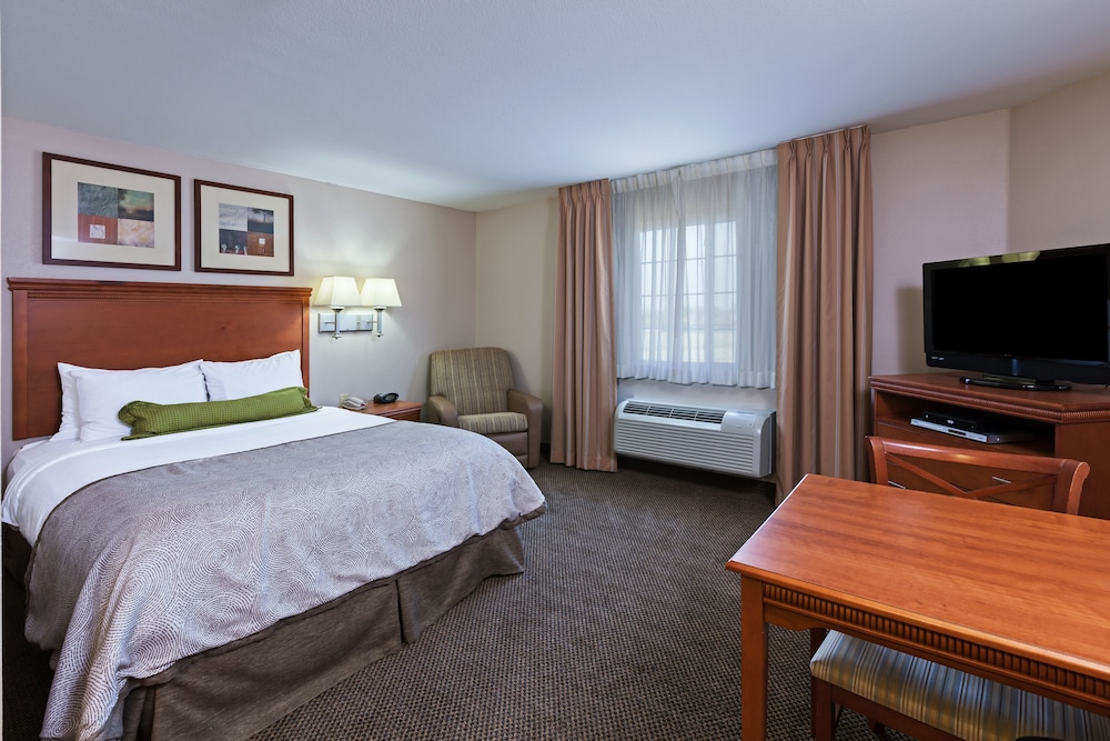 Studio Suite - Photo 1