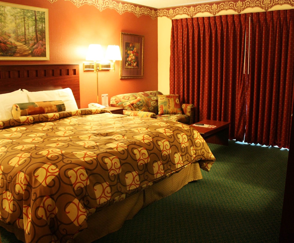 Premium Room, 1 King Bed photo 1