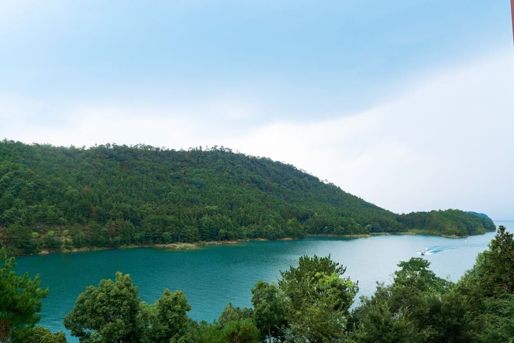 Classic Room, 1 King Bed, Lake View (Forest) - Photo 3