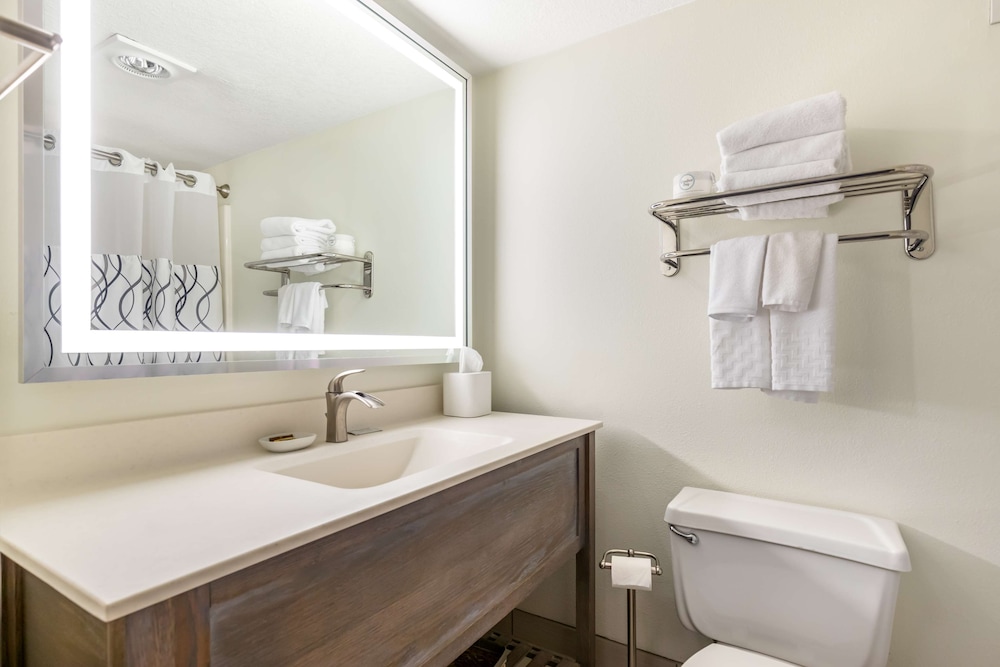 Executive Suite, 1 King Bed, Non Smoking, Refrigerator & Microwave (with Sofabed) - Photo 3