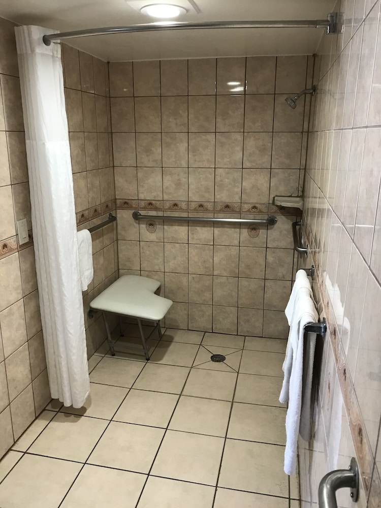 Deluxe Triple Room - Photo 9