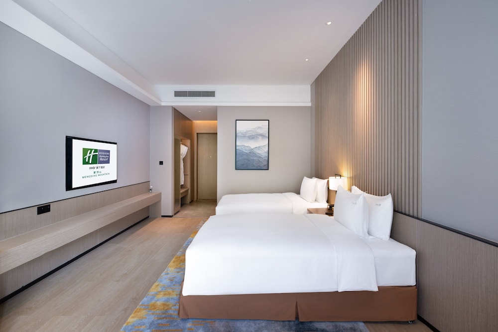 Premium Room, 1 King Bed, Mountain View